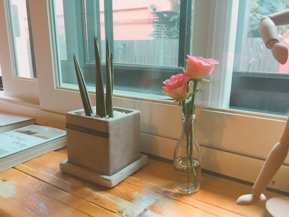 Gwangalli Guesthouse Jnehouse - Hostel Busan Hotel